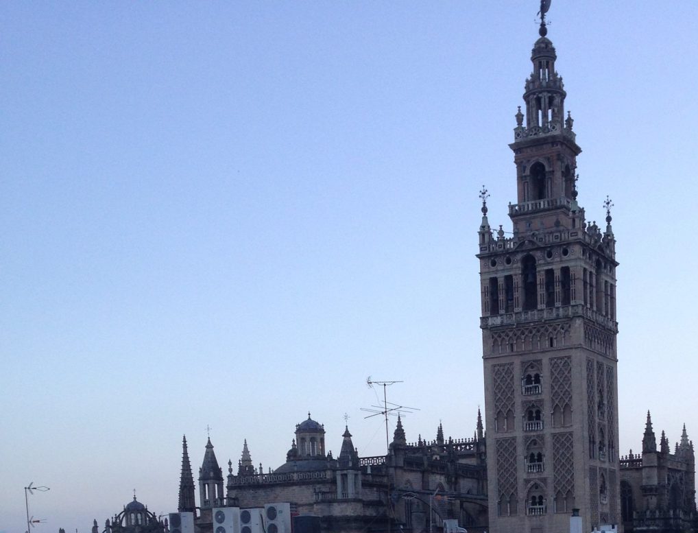 Cropped img 0989 e1493465967129